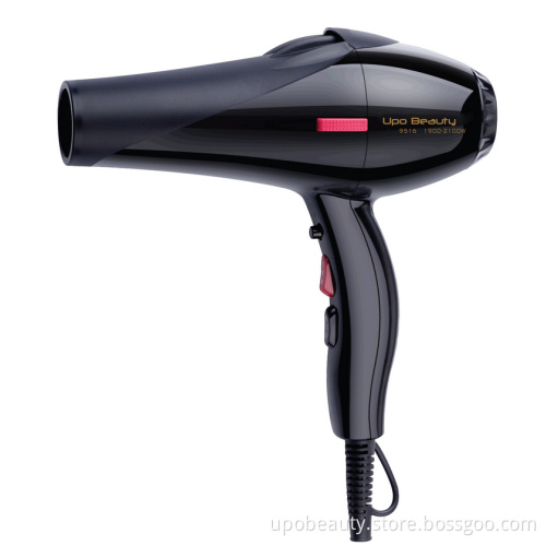Ionic Light Professional Hair Dryer #9516